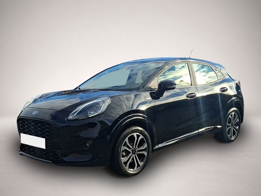 Bild Puma Ford