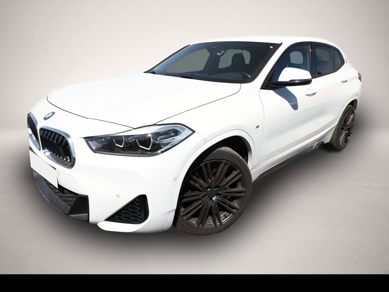 Fotografie 1 des BMW X2 xDrive 20i M Sport LED Nav ParkAs Kam SHZ 19Z