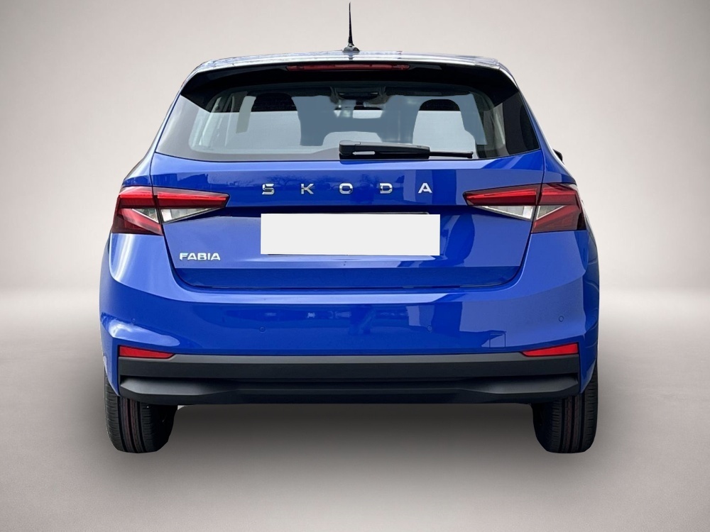 Bild 5 Skoda Fabia Selection Plus 1,0 TSI DSG 85KW Winter