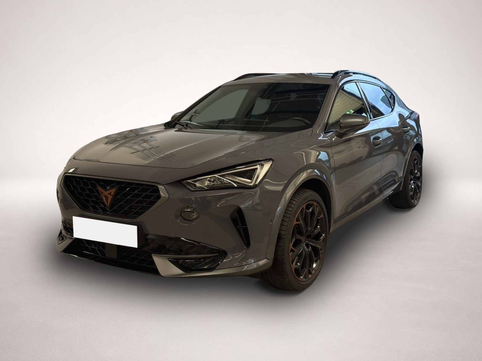 Fotografie Cupra Formentor 2.0 TSI DSG 4Drive VZ LED NAVI AHK ACC