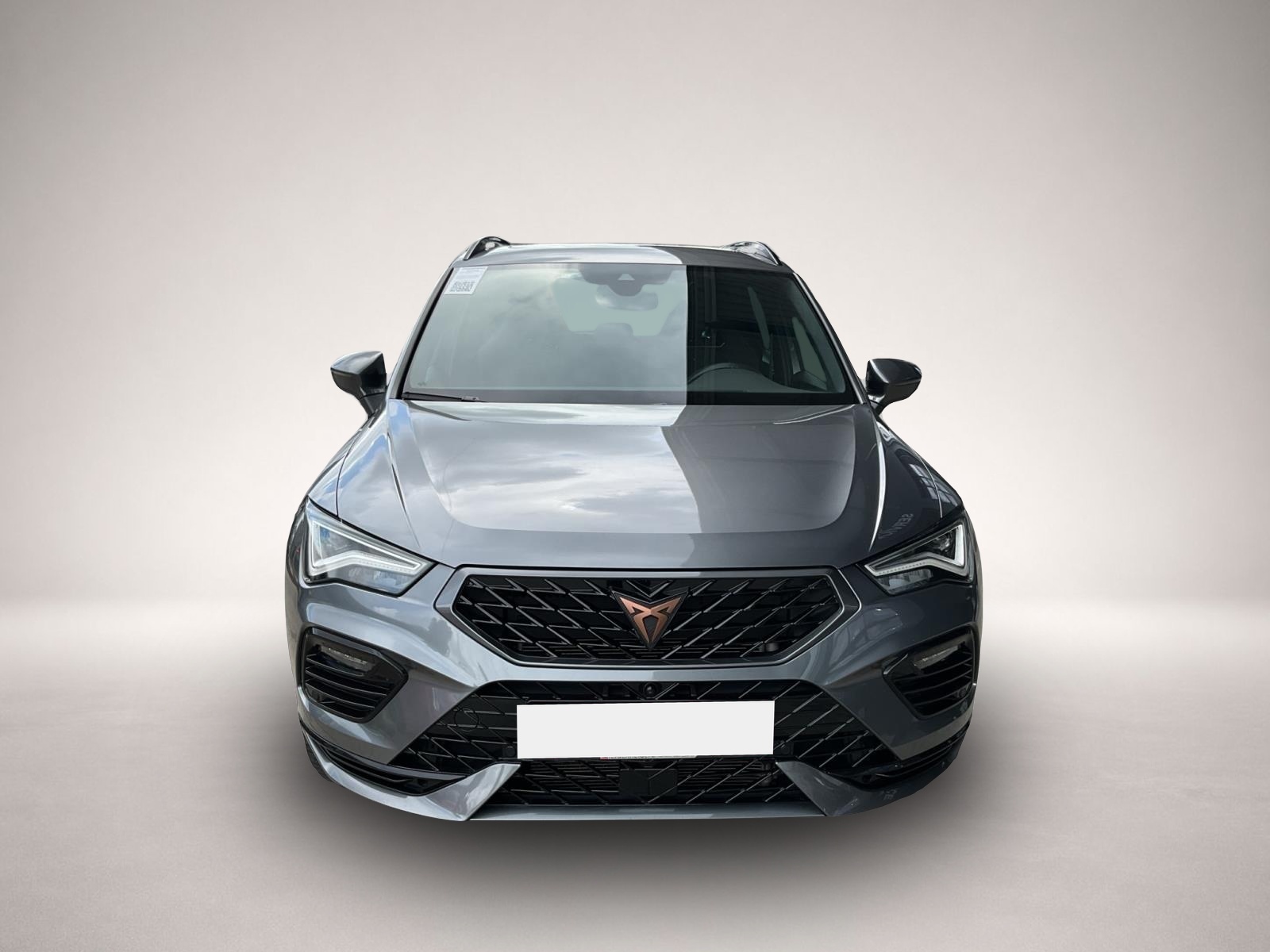 Fotografie 8 des Cupra Ateca 2.0 TSI DSG 4Drive PANO AHK TOP-VIEW
