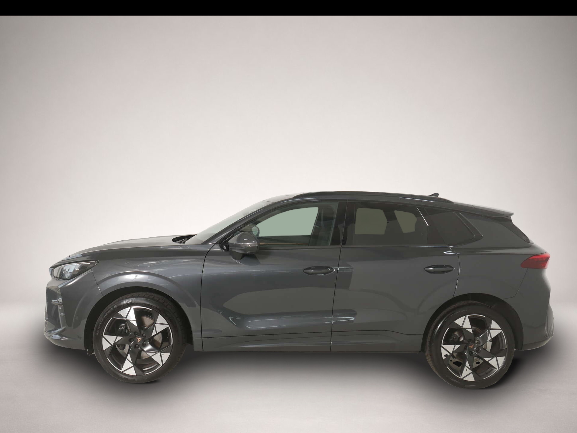 Bild 3 Cupra Terramar 2.0 TSI