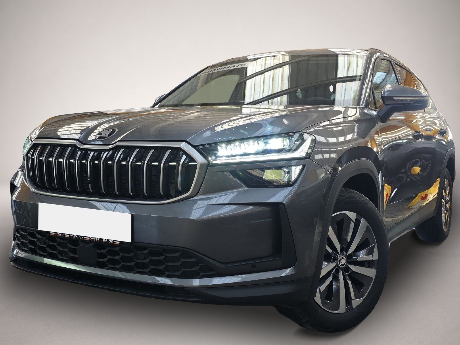 Bild Kodiaq Skoda
