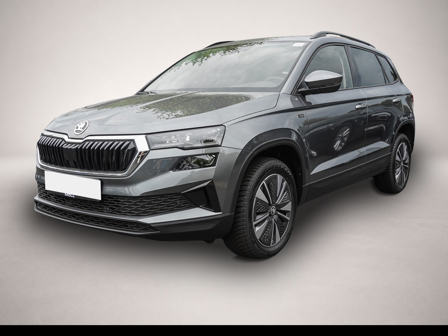 Bild Karoq Skoda