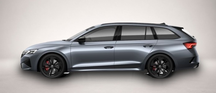 Fotografie des Skoda Octavia Combi 2.0 TSI 7-Gang-DSG