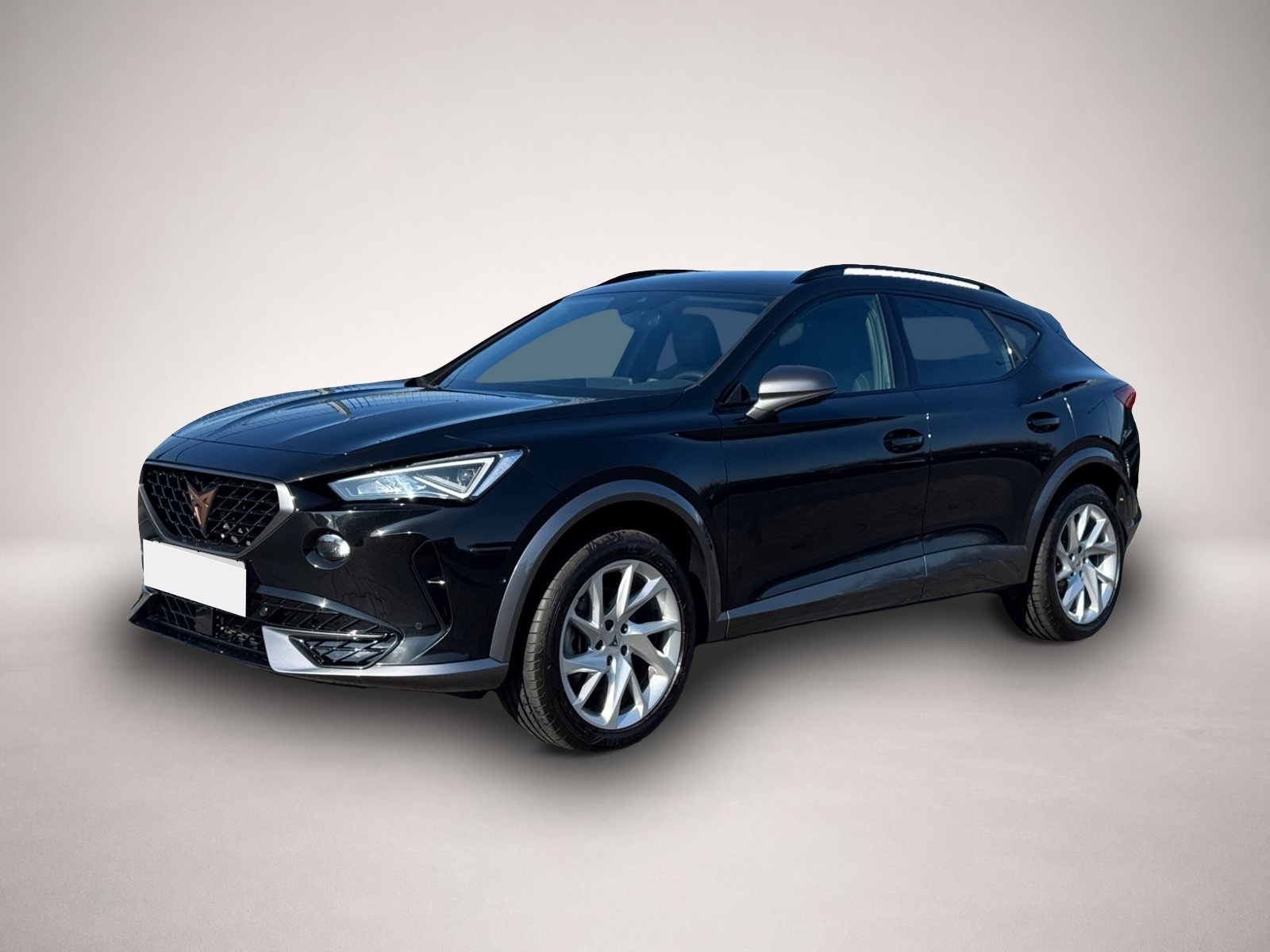 Fotografie 2 des Cupra Formentor TSI DSG|el.HECK|NAV|KAMERA|ACC|KEYLESS