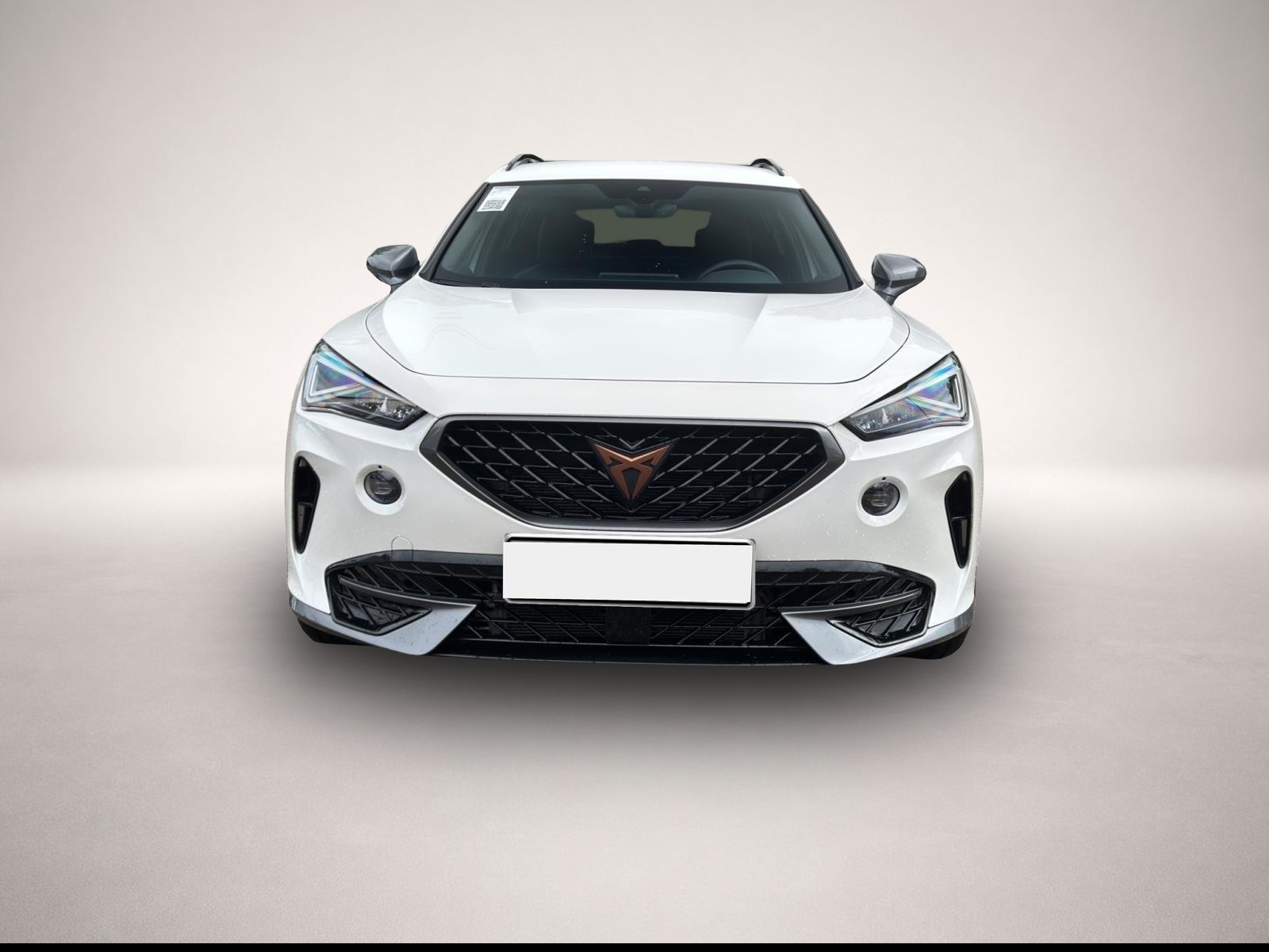 Bild 2 Cupra Formentor 1.4 TSI DSH e-Hybrid AHK NAVI REAR VIE