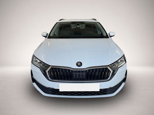 Bild 2 Skoda Octavia Selection 150PS TDI DSG AHK+Kamera+GV4+ACC+Trav.