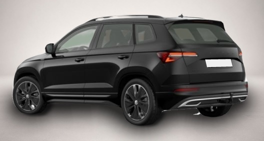 Bild 3 Skoda Karoq 2.0 TSI 7-Gang-DSG 4x4