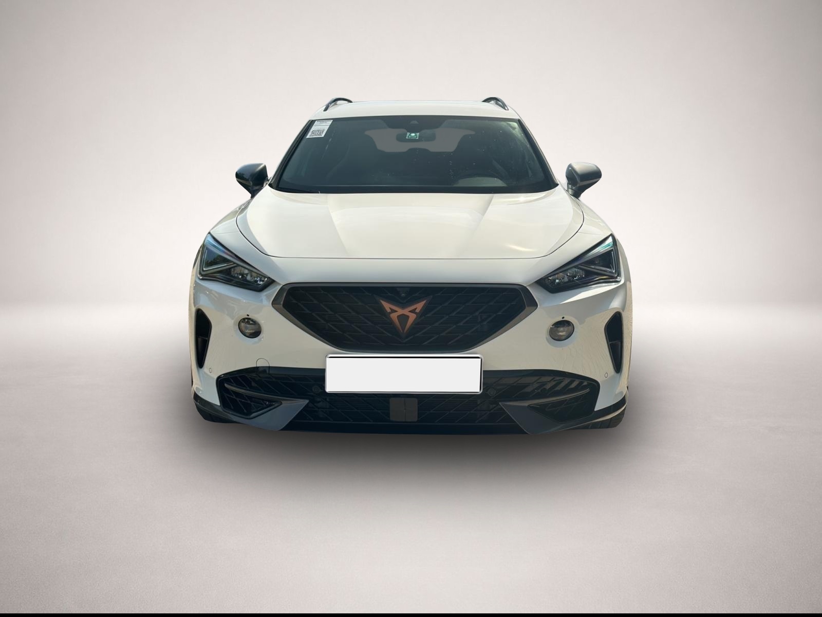 Fotografie 2 des Cupra Formentor 2.0 TSI DSG 4Dr AB330EUR VZ AHK NAVI S