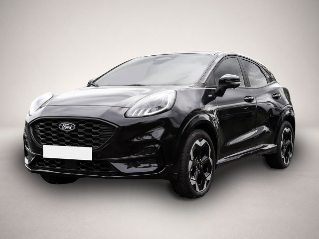Bild Puma Ford