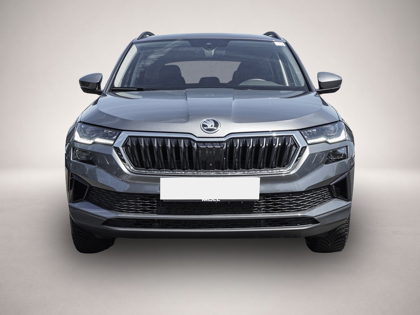 Bild 2 Skoda Karoq 2.0 TDI DSG Selection Tour