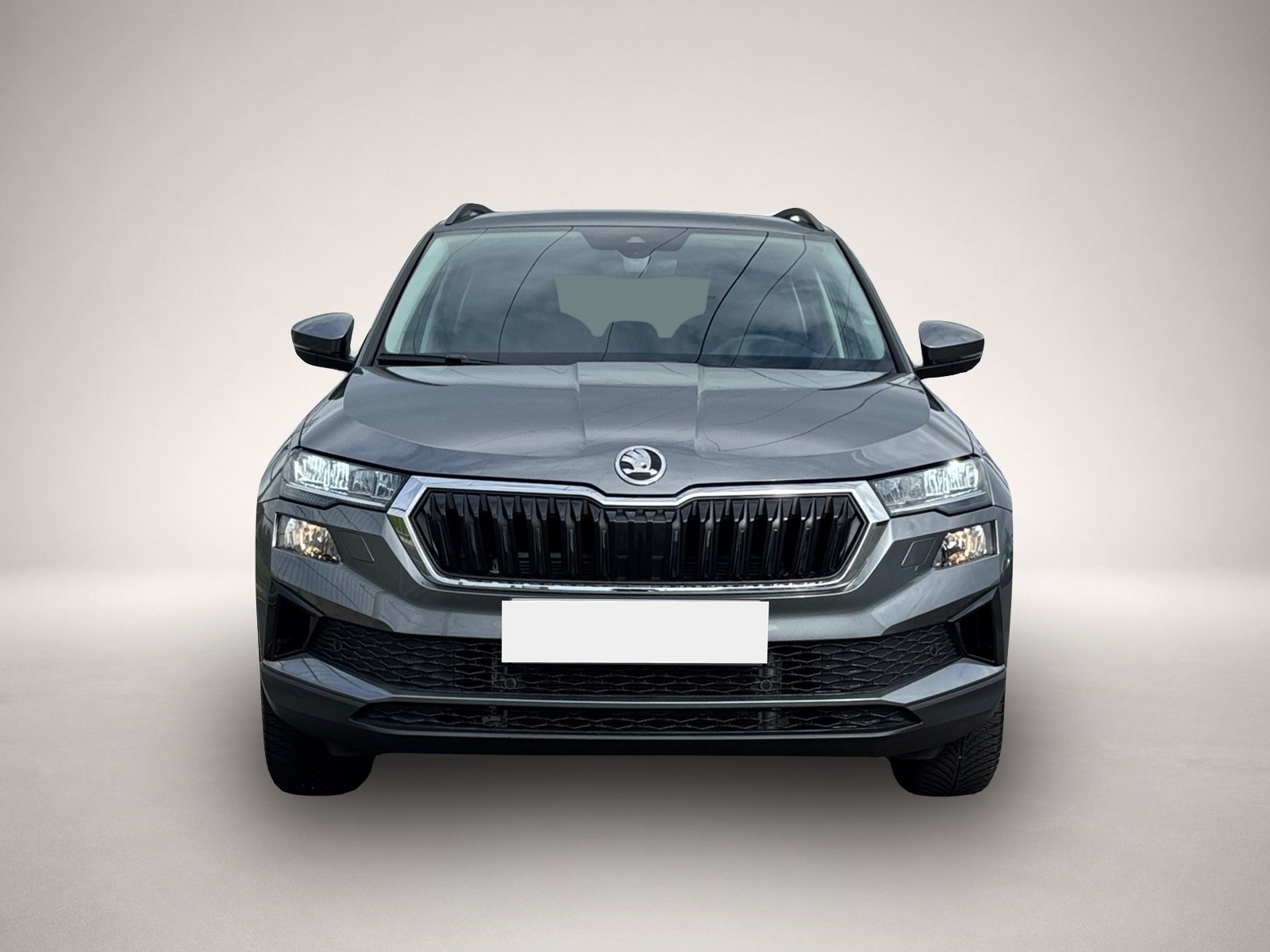 Bild 2 Skoda Karoq Selection TSI DSG|NAVI|KAMERA|VORB.AHK|SHZ