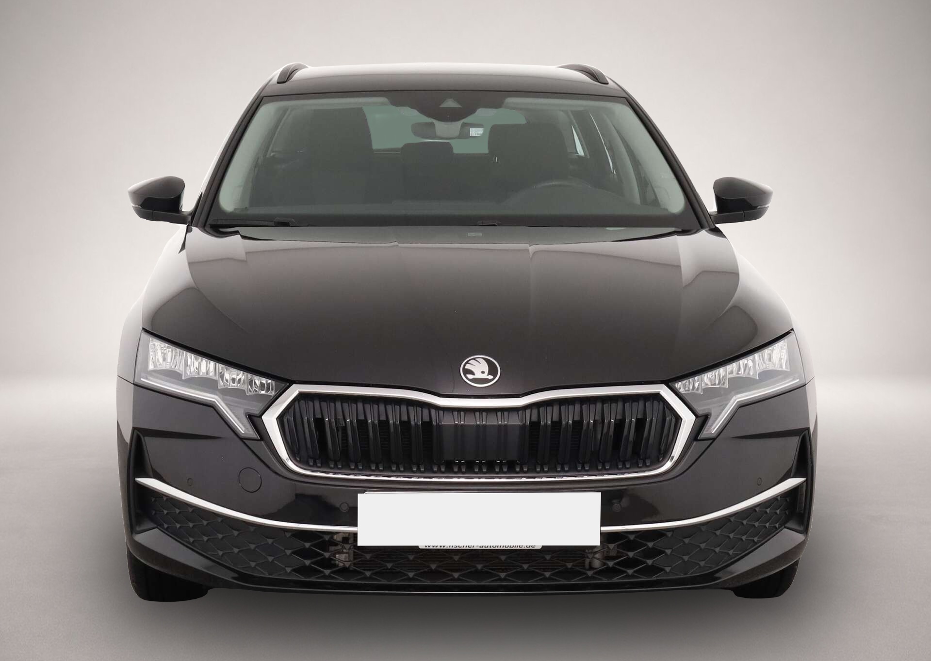 Bild 2 Skoda Octavia Combi 2.0 TDI Selection