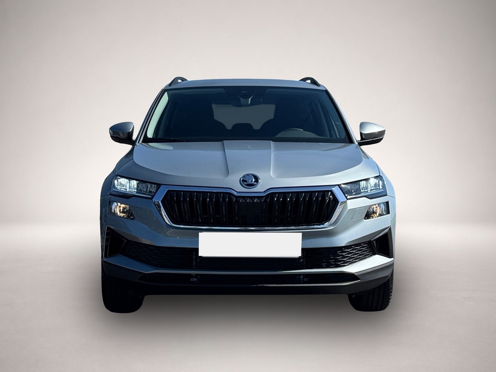 Bild 2 Skoda Karoq Selection TSI DSG|AHK|ACC|NAVI|KESSY|SMART