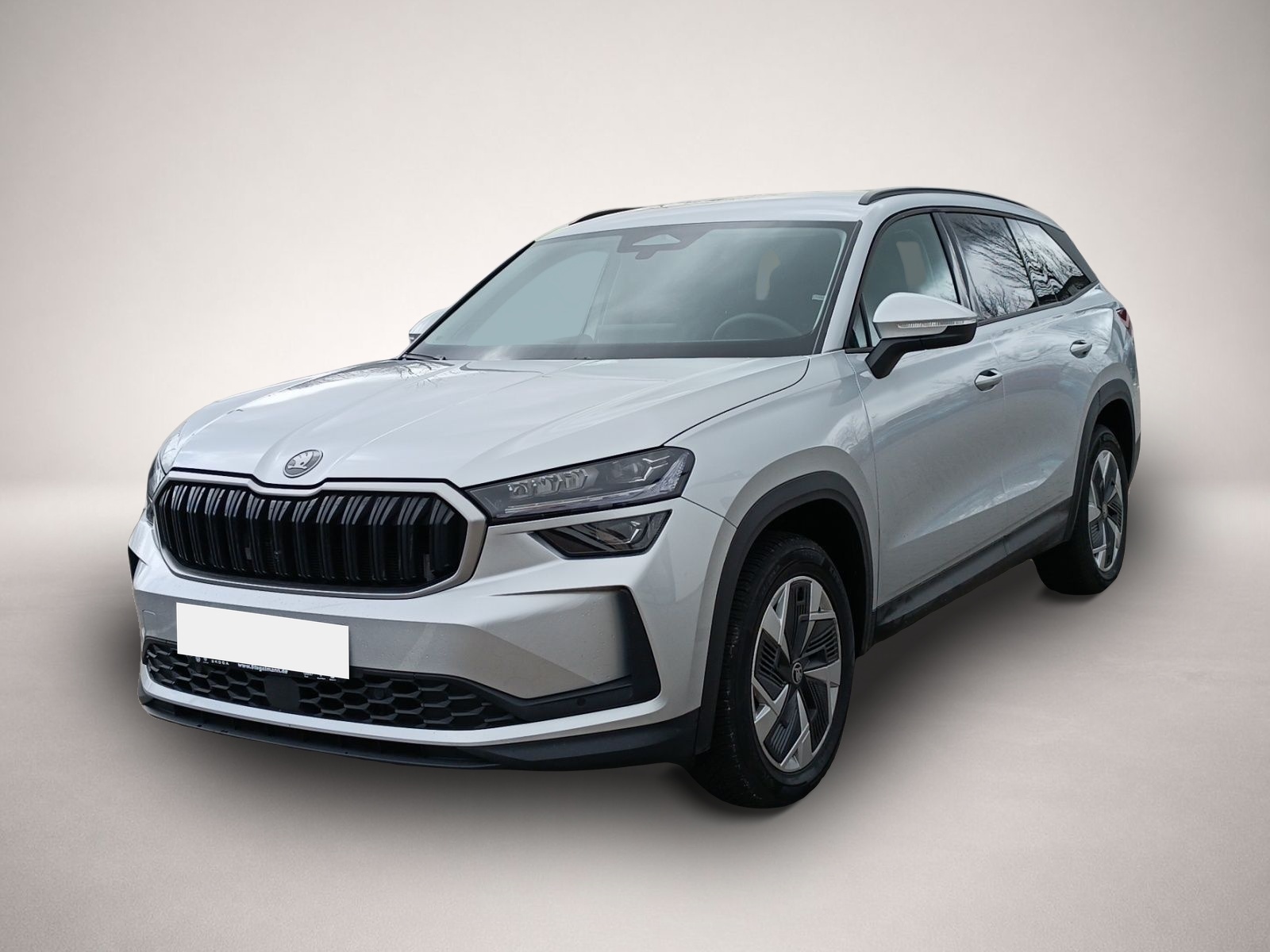 Bild Kodiaq Skoda