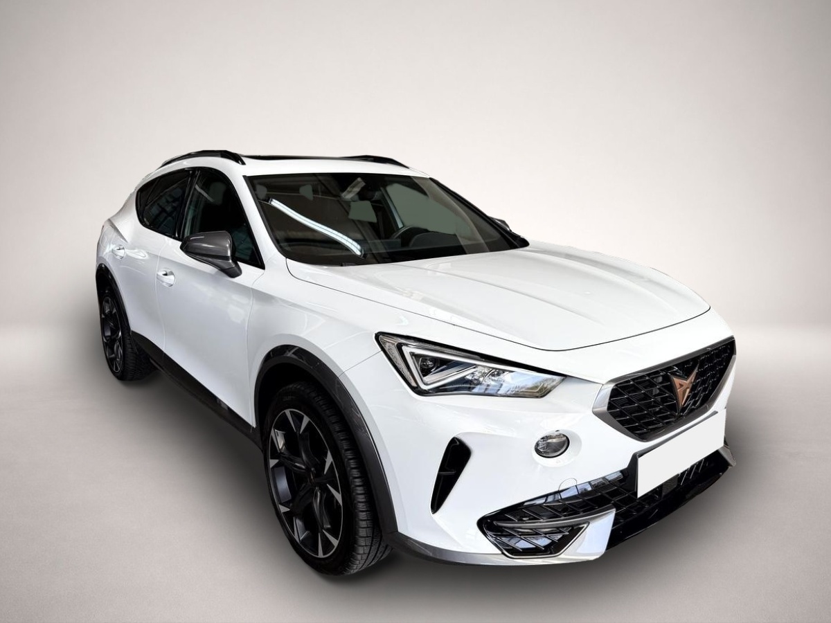 Fotografie 3 des Cupra Formentor 1.5 TSI DSG LED ACC Pano R.Cam
