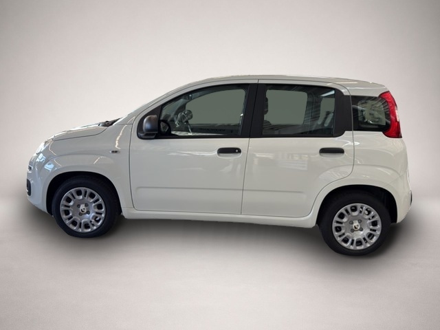 Bild 2 Fiat Panda Pandina 1.0 48 kW Icon Digitales Cockpit DAB Spu