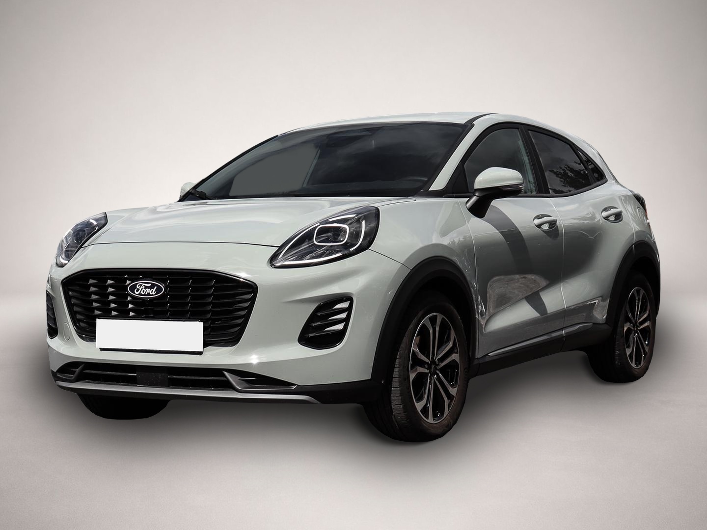 Bild Puma Ford