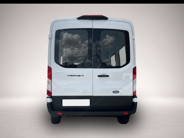 Bild 3 Ford Other Transit Kombi 350 L3 Trend DAB SHZ LenkradHZG