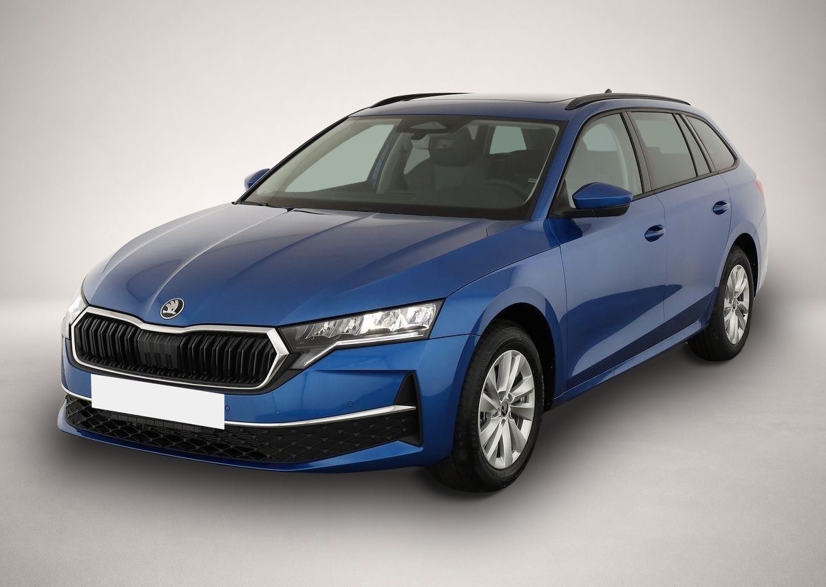 Fotografie 1 des Skoda Octavia Combi TDI DSG Selection, Navi, Pano, AHK