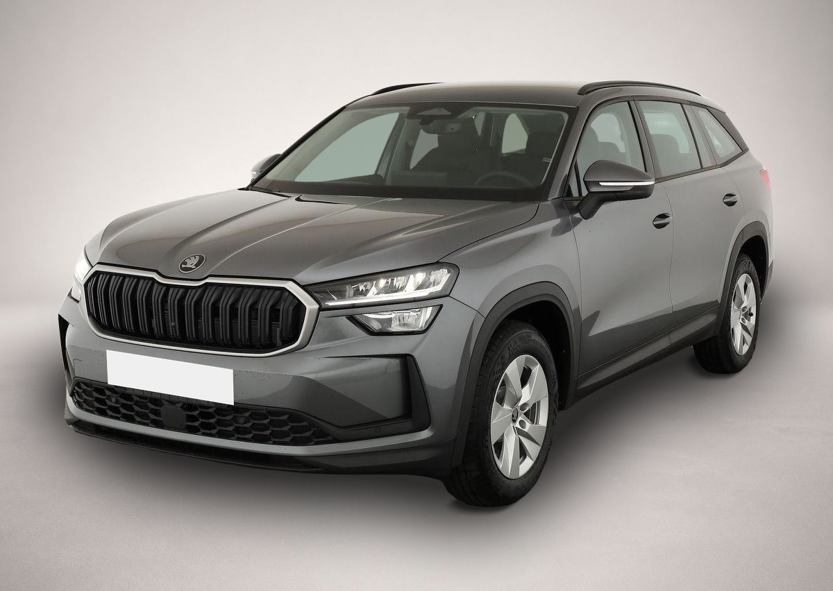 Bild Kodiaq Skoda