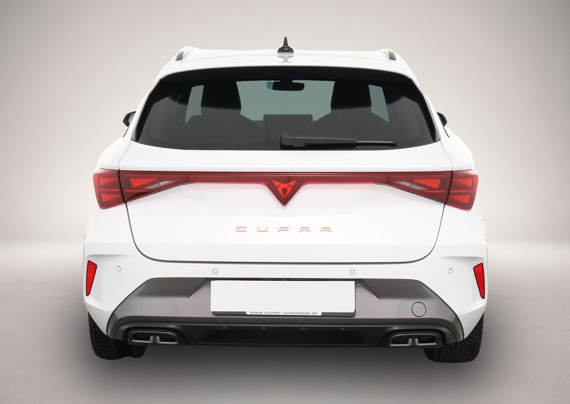 Bild 5 Cupra Leon Sportstourer 2.0 TDI