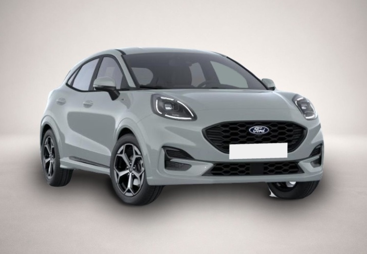 Bild Puma Ford