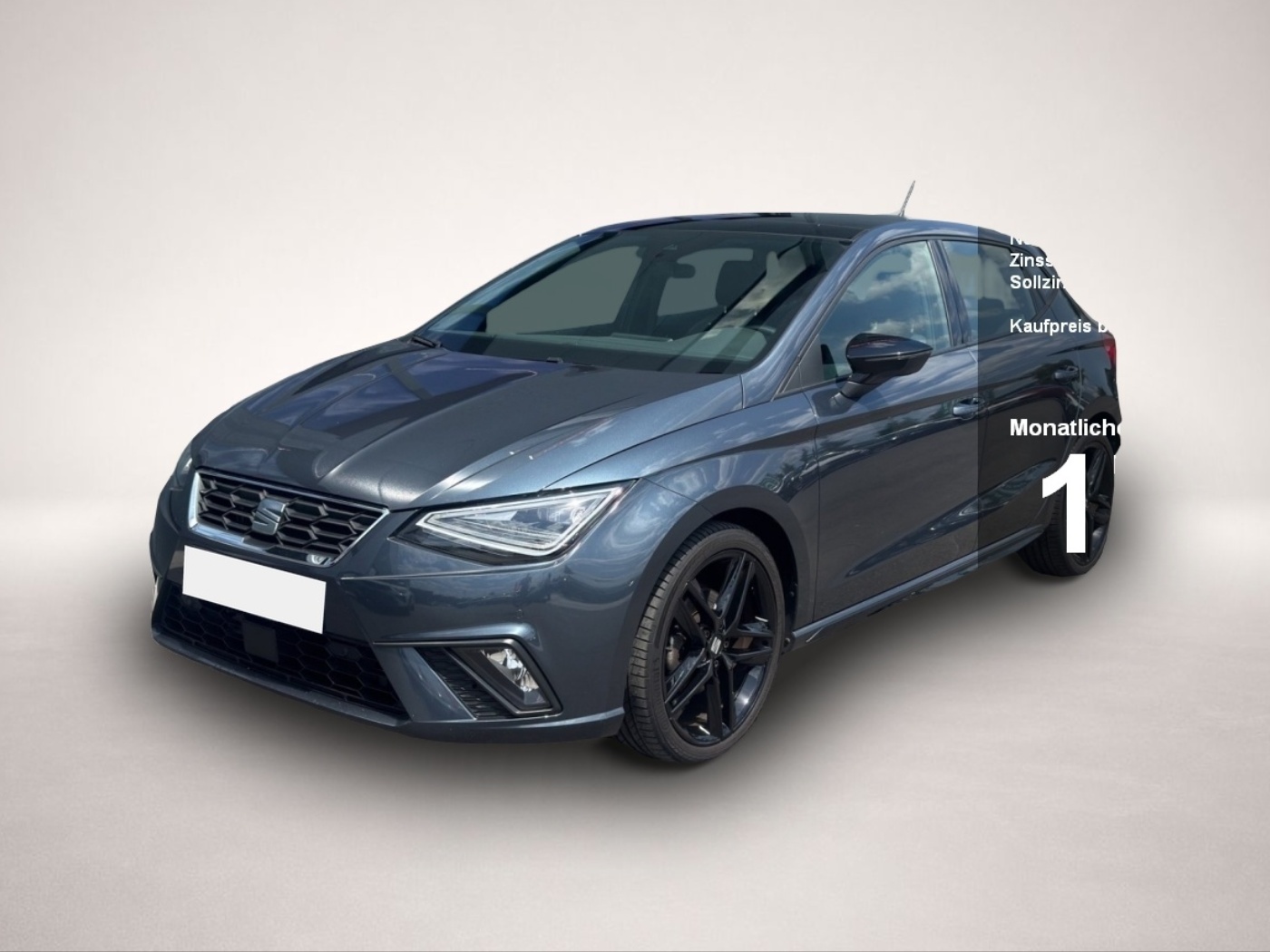 Bild Ibiza Seat
