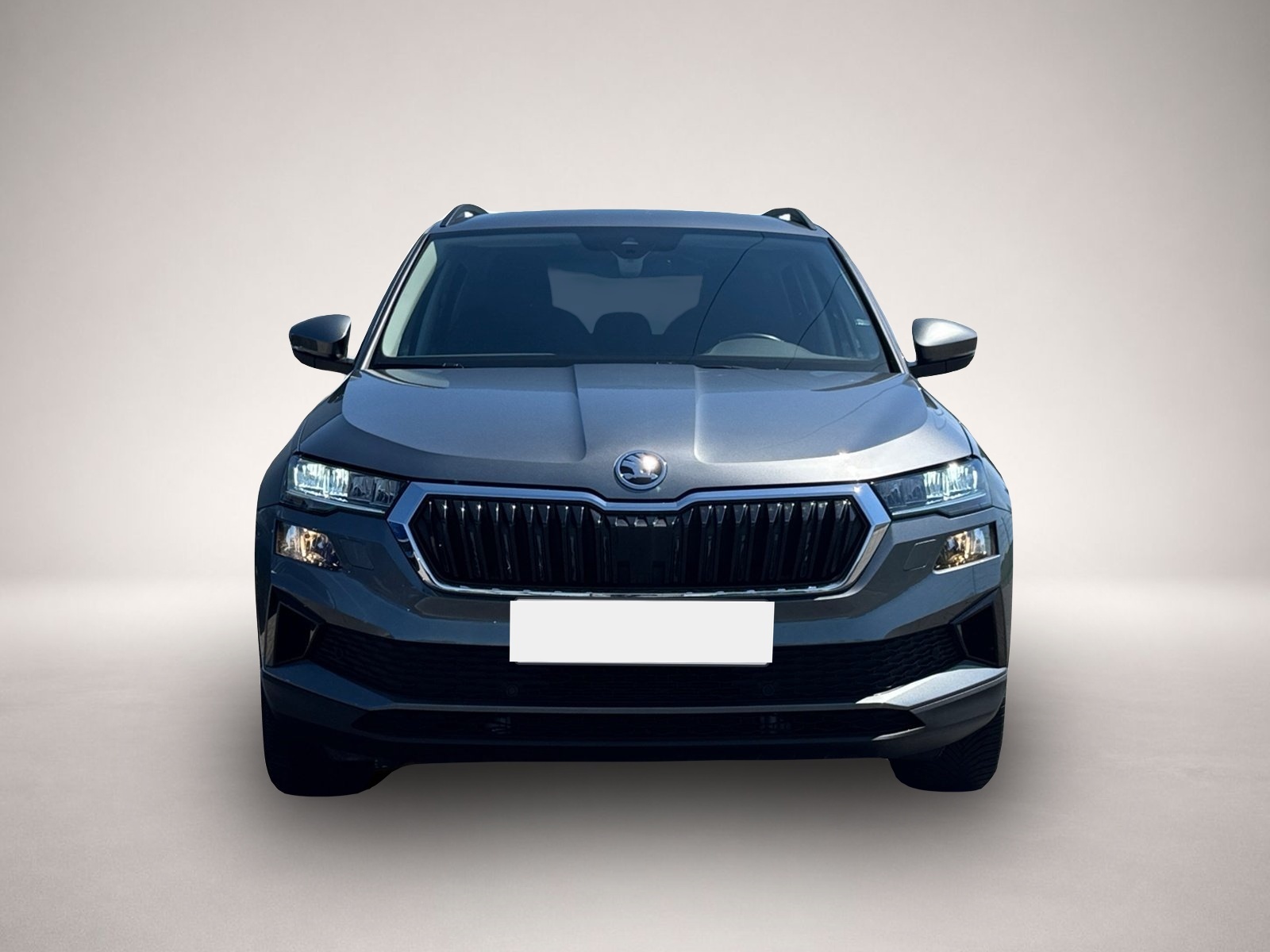 Bild 2 Skoda Karoq Selection 4x4 TDI DSG|ACC|NAVI|KAMERA|