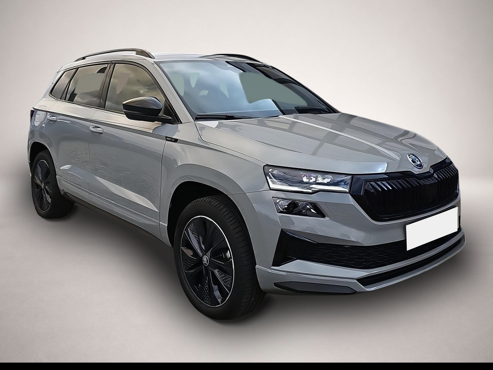 Bild 1 Skoda Karoq 2.0 TSI DSG Sportline 4x4 AHK Travel Ass.