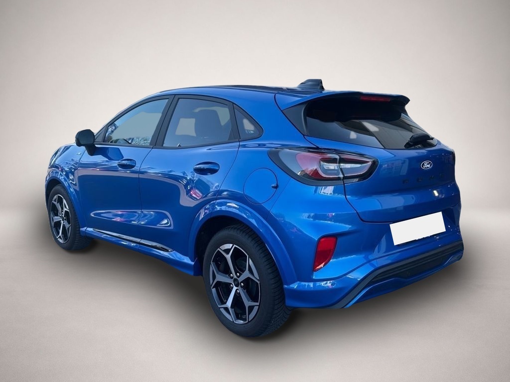 Bild Puma Ford