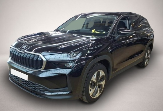 Bild Kodiaq Skoda