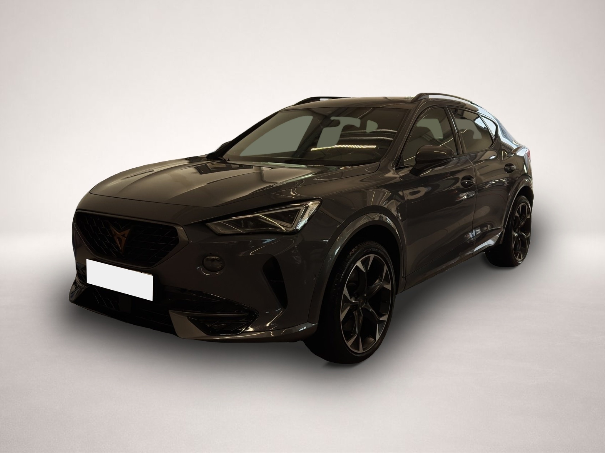 Fotografie Cupra Formentor 2.0 TSI DSG 4Drive VZ MATRIX-LED NAVI