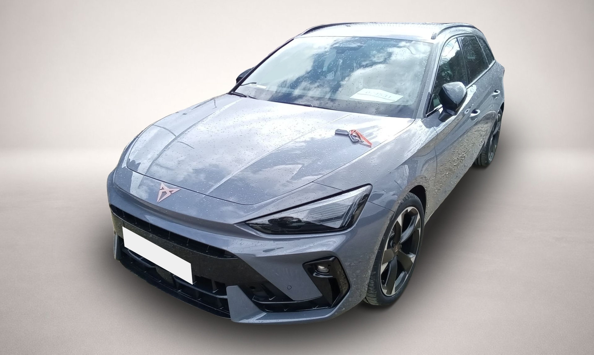 Fotografie Cupra Leon Sportstourer 2.0 TDI 7-Gang-DSG