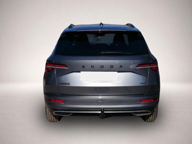 Bild Karoq Skoda