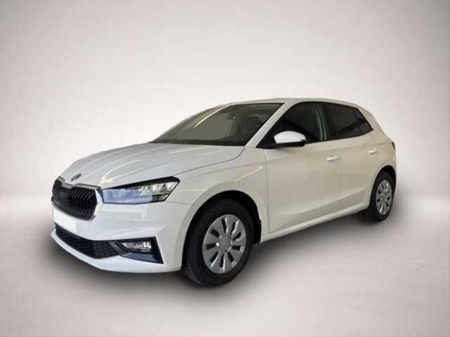 Bild 1 Skoda Fabia Selection 95PS GV4+Sitzheiz+Lenkradheiz+Climatr.