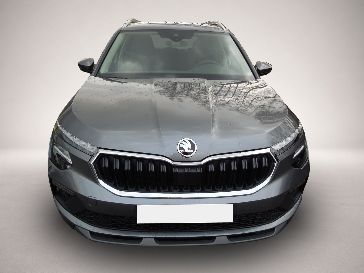 Fotografie 2 des Skoda Kamiq 1.5TSI DSG/TopSelection/LED/Navi/Klimaauto