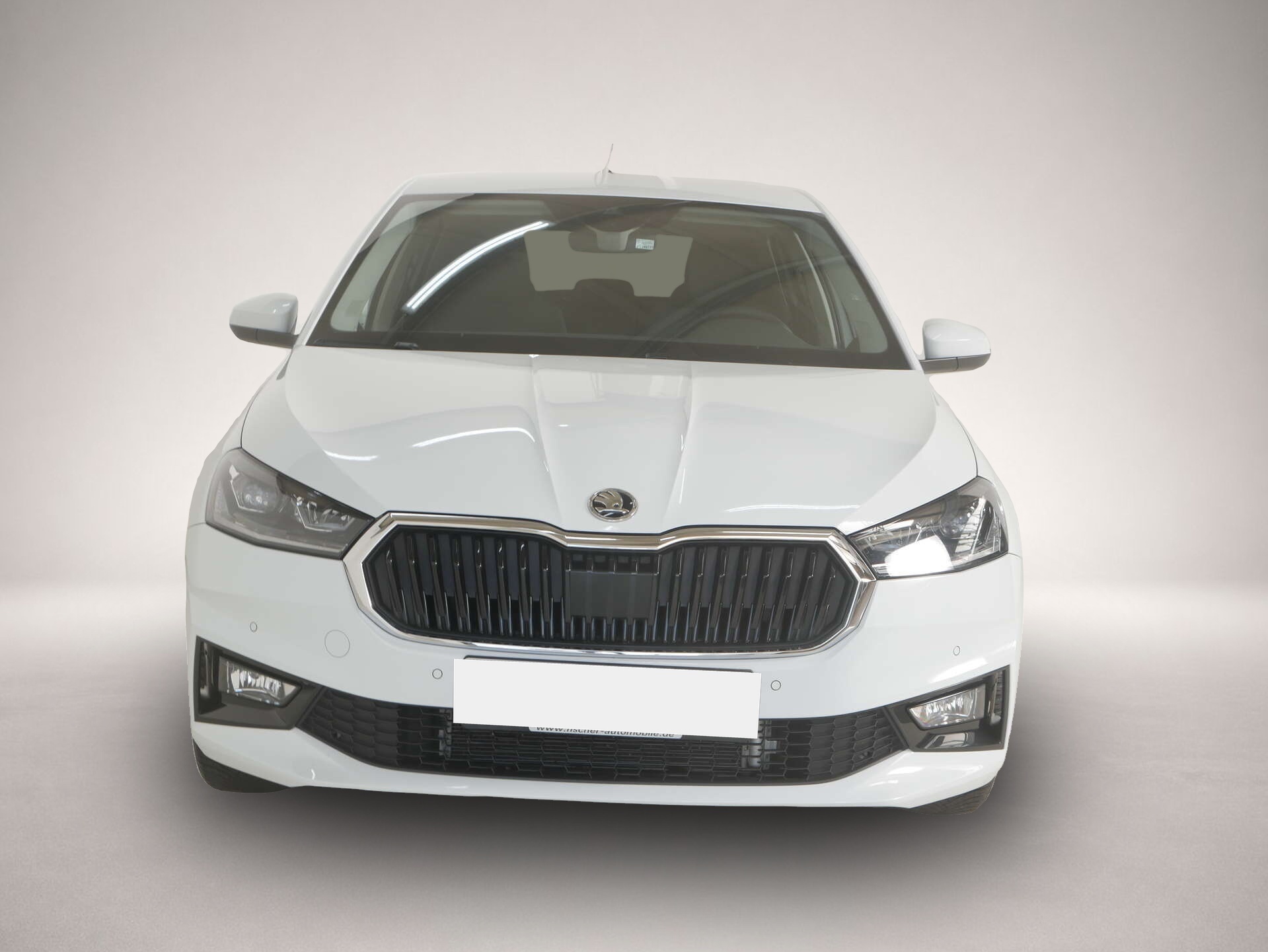 Fotografie 2 des Skoda Fabia 1.0 TSI Selection Tour