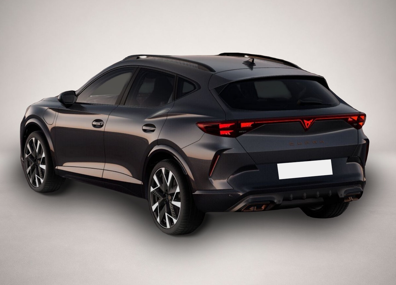 Bild 3 Cupra Formentor VZ 2.0 TSI 333 Memory Nav ehK SHZ Blis