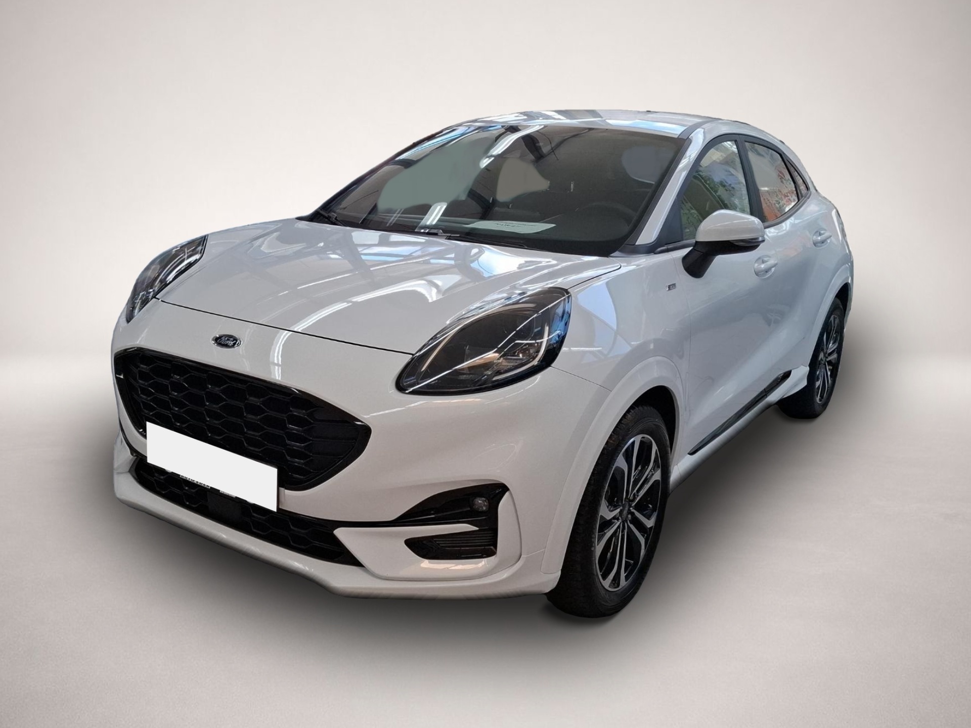 Bild Puma Ford