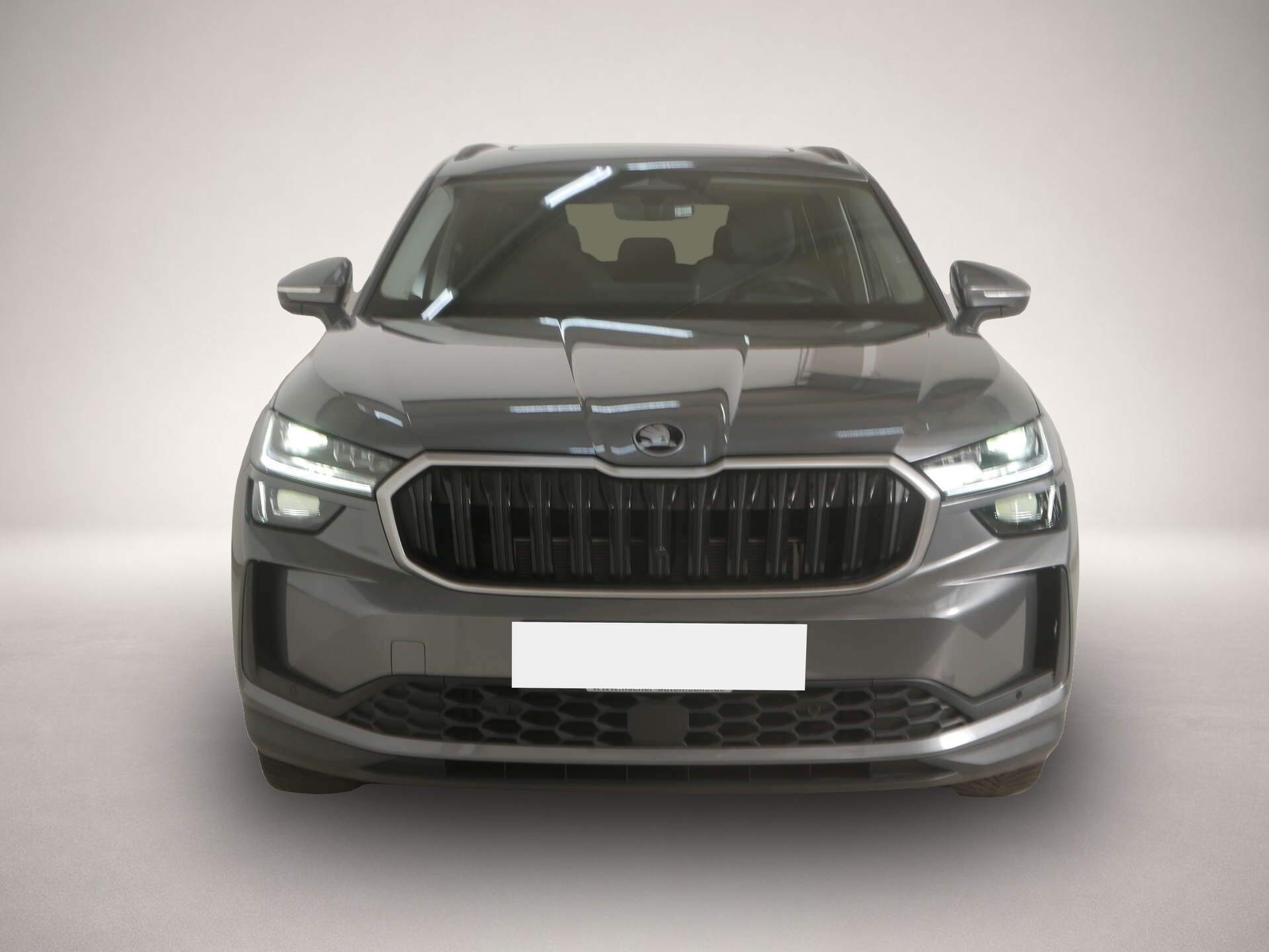 Bild 2 Skoda Kodiaq 2.0 TSI Selection