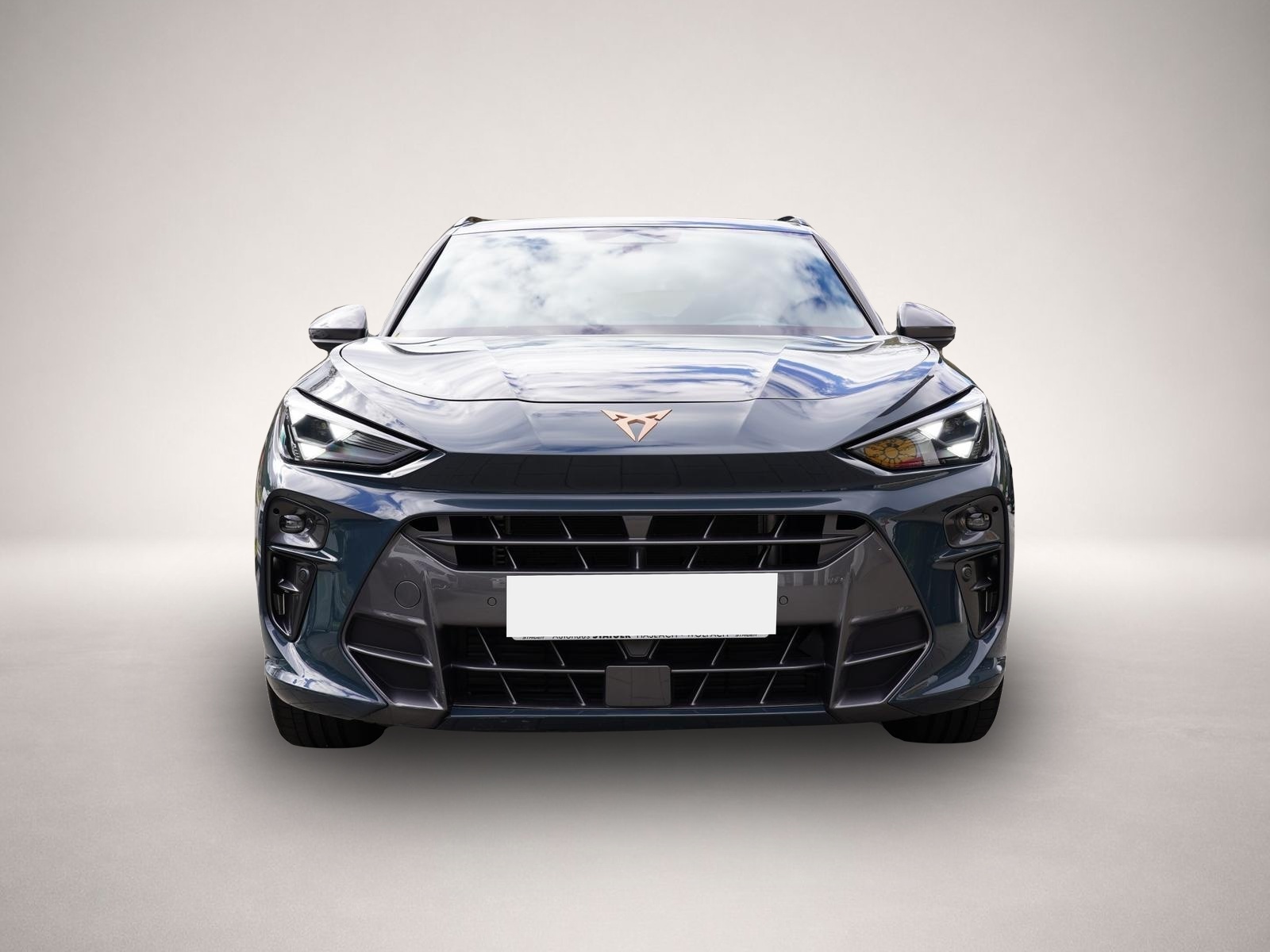 Fotografie 2 des Cupra Terramar VZ 2.0TSI 4x4+Pano mtl. ab 349€*