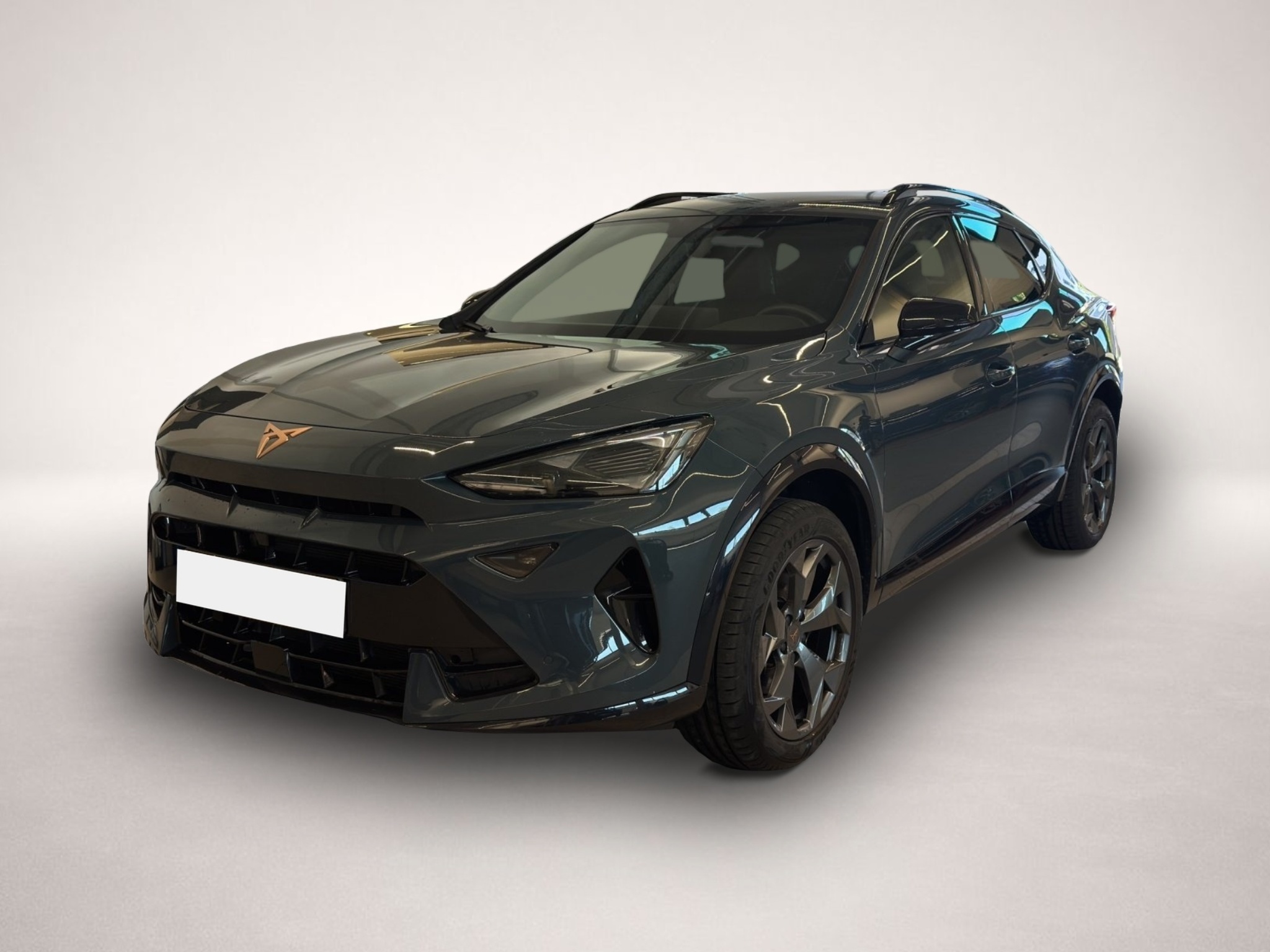 Fotografie Cupra Formentor 1.5 eTSI DSG LED ACC EH PDC KAMERA SZ