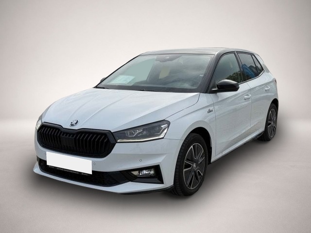 Bild Fabia Skoda
