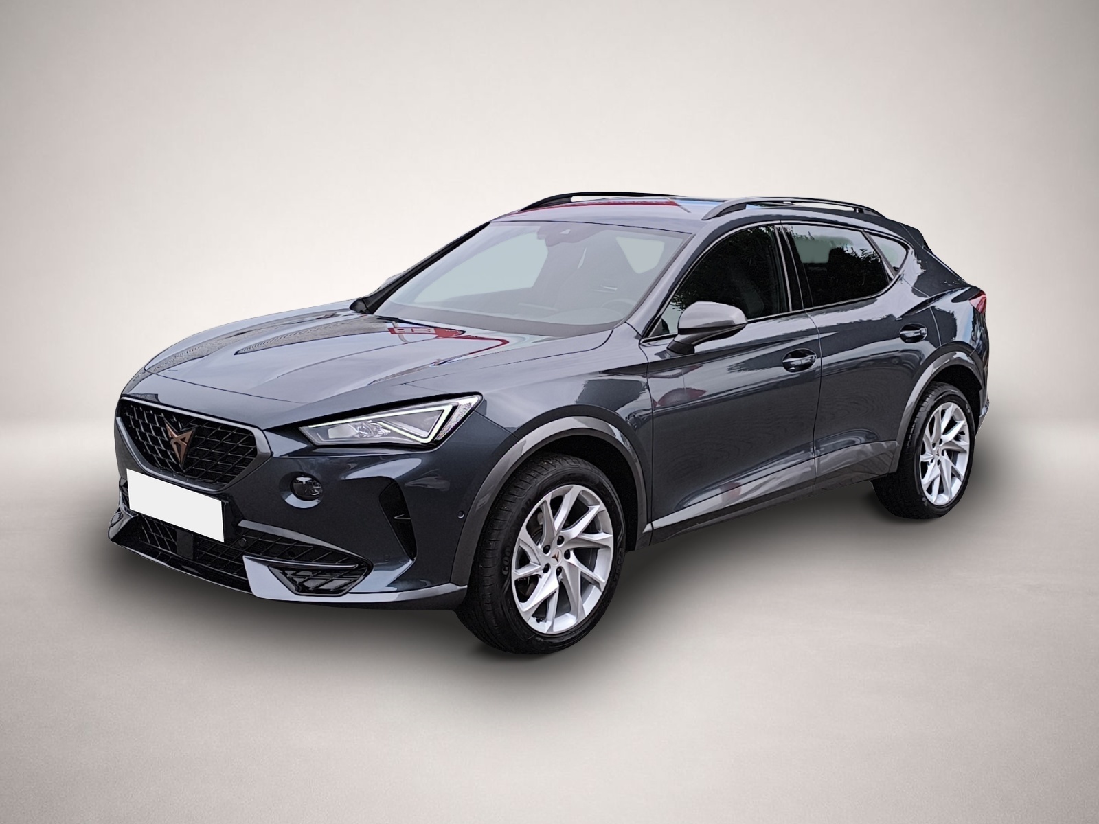Fotografie Cupra Formentor 1.5 TSI LED NAVI KAMERA PARKLENK 18 SH