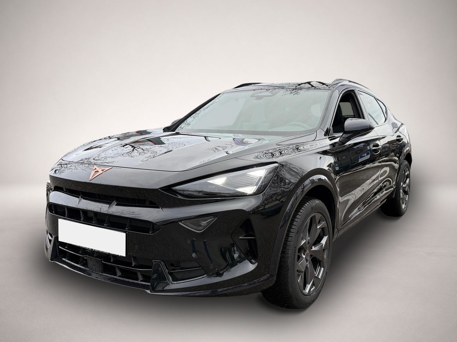 Bild 1 Cupra Formentor 1.5 eTSI DSG ACC LED PDC SHZ