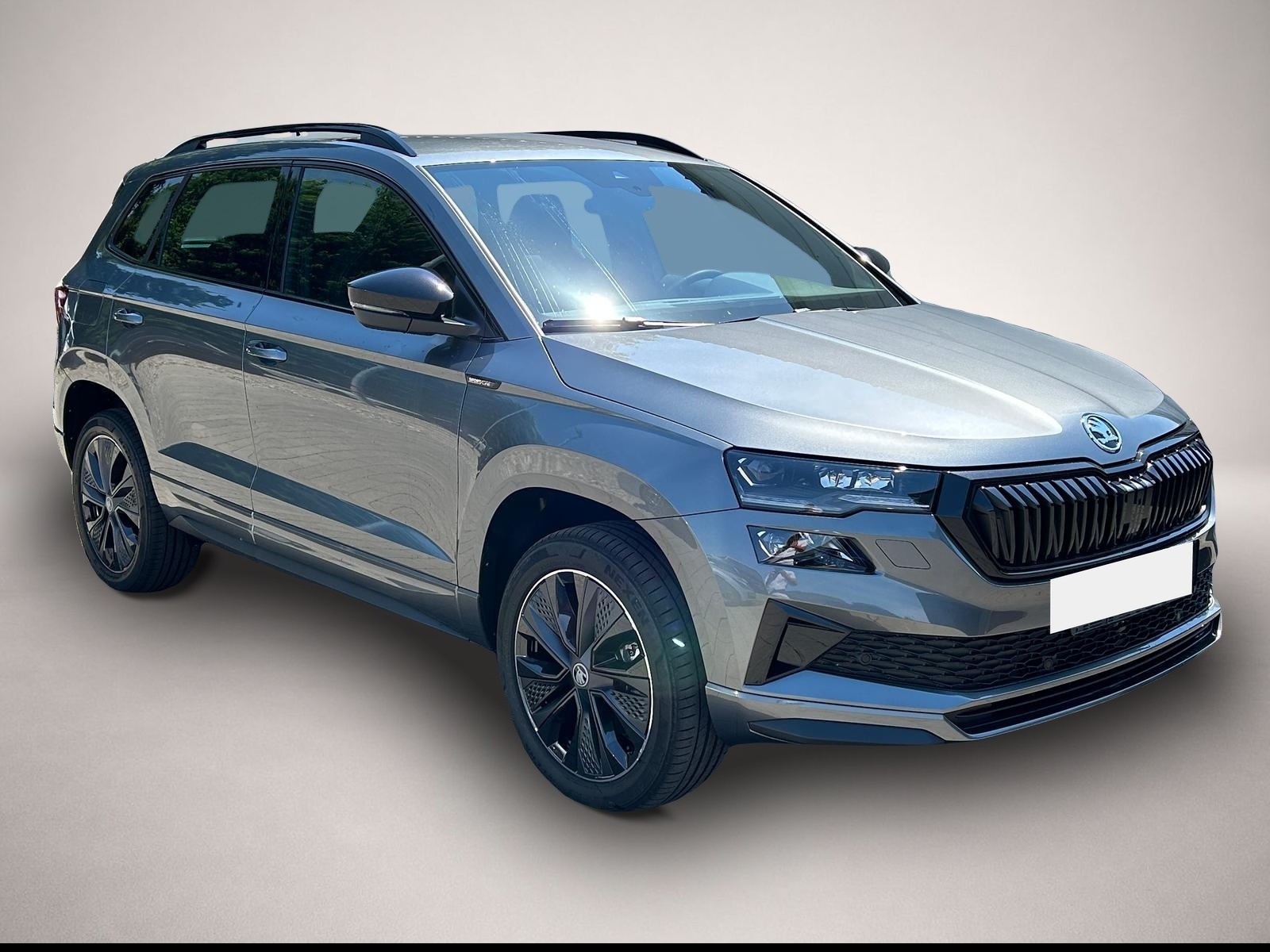 Bild Karoq Skoda