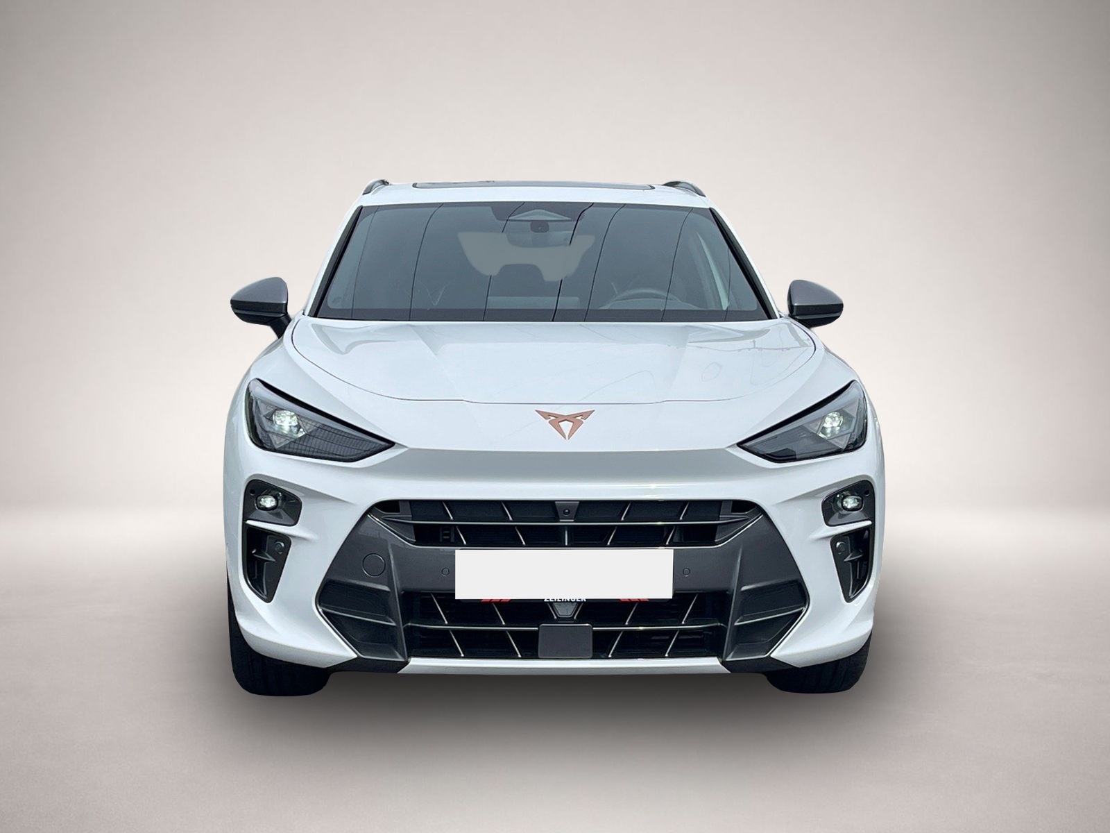 Bild 2 Cupra Terramar VZ 4Drive TSI DSG|AHK|PANO|360°|HEAD-UP