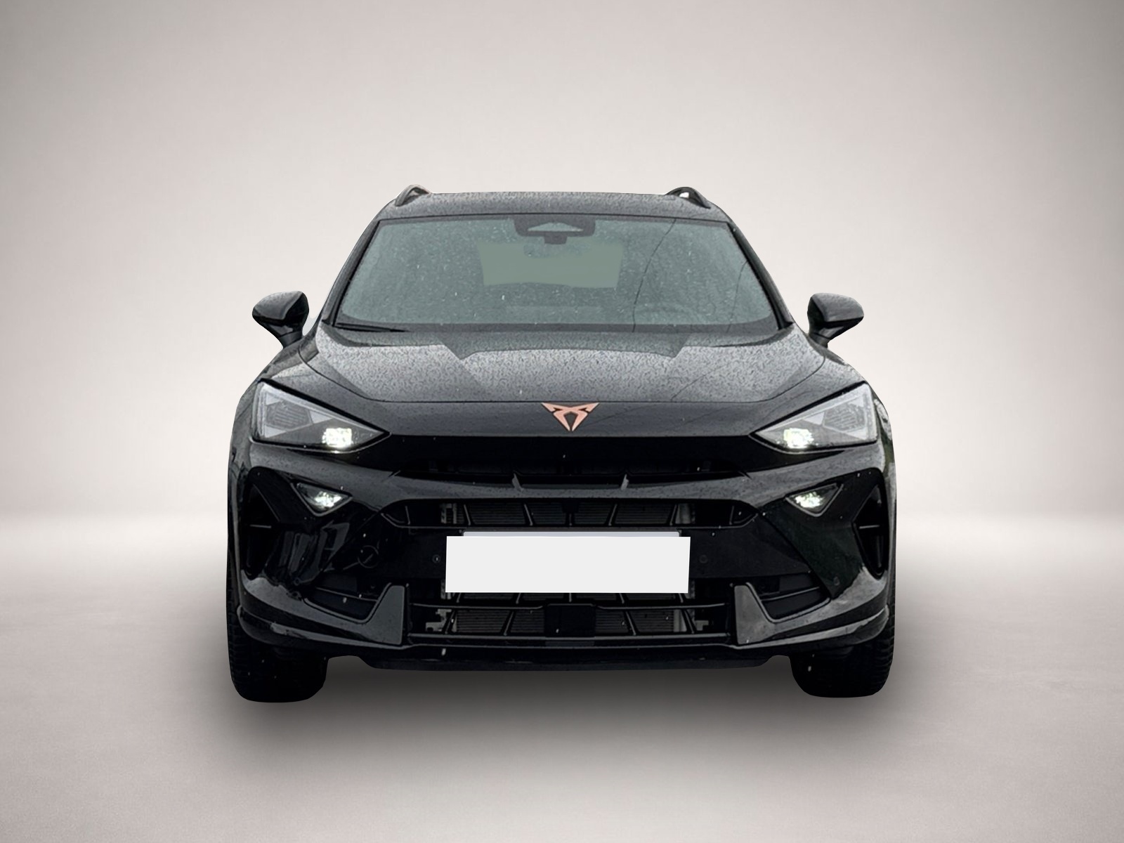 Bild 2 Cupra Formentor eTSI DSG|PANO|AHK|5-J-GARANTIE|EDGE